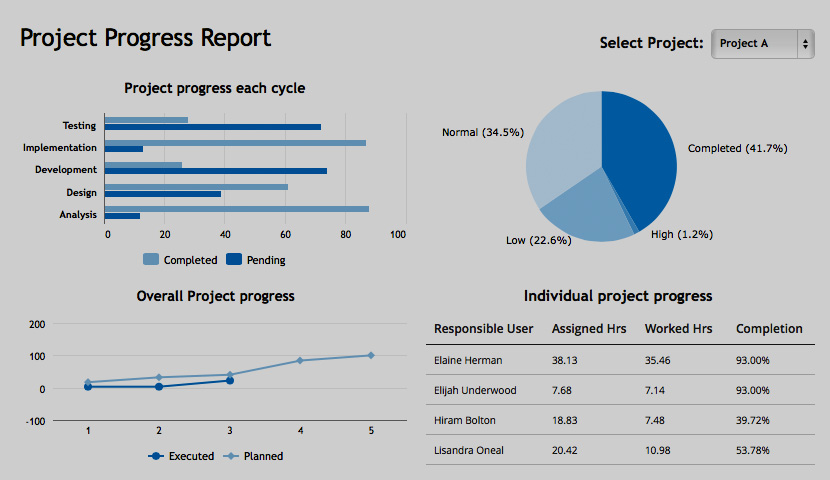 Project Progress Report